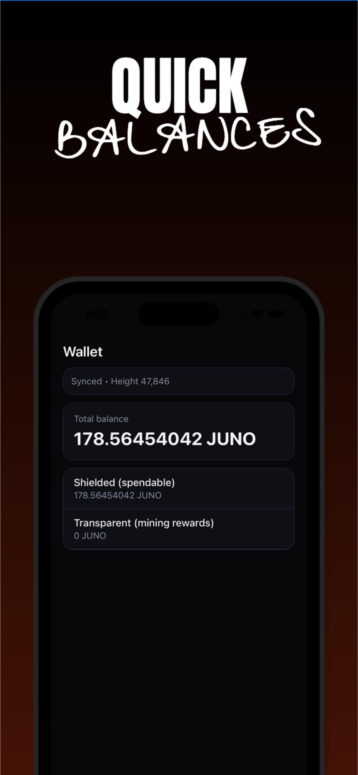 Wallet balances screen showing shielded and transparent balances.